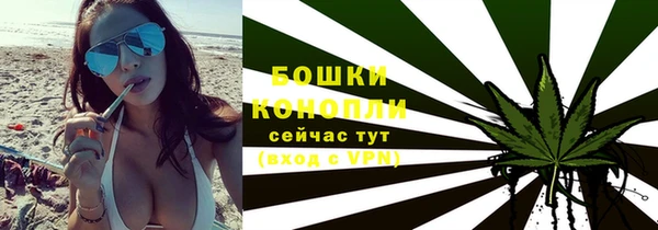 spice Дмитриев