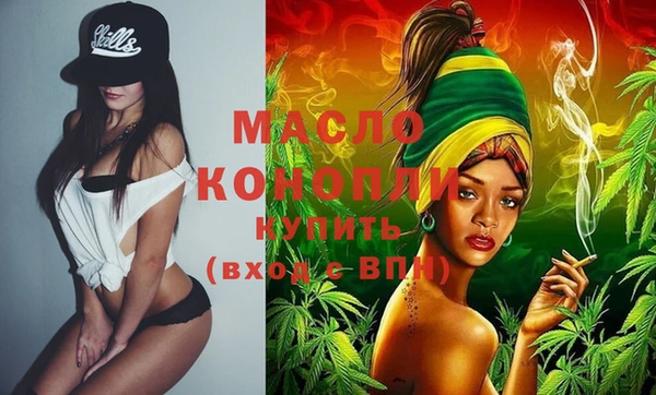 spice Дмитриев