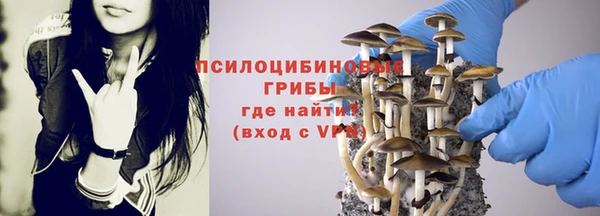 spice Дмитриев