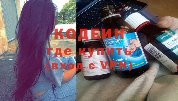 шишки Дмитров
