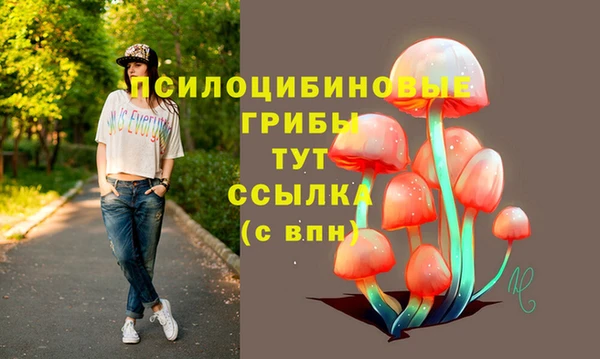 шишки Дмитров
