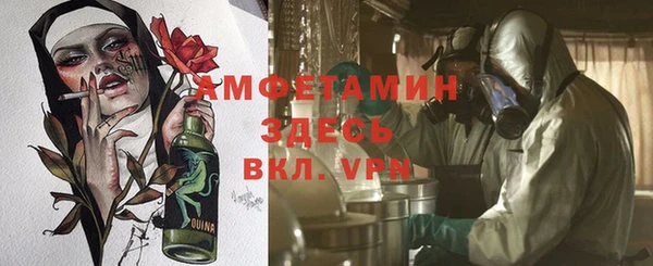 шишки Дмитров