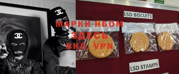 spice Дмитриев