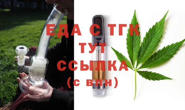 spice Дмитриев