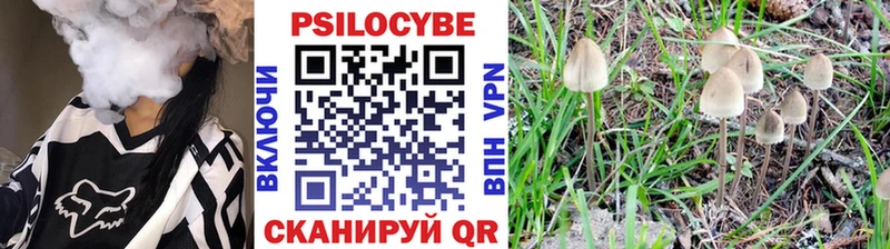 Псилоцибиновые грибы ЛСД  Купить закладки  Могоча 